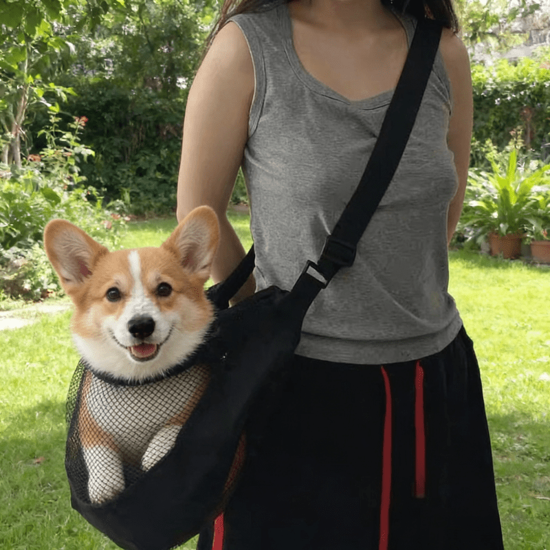 Hafif, Nefes Alabilen File Köp - Travel Accessories For Dogs incelemesi ve fiyatı