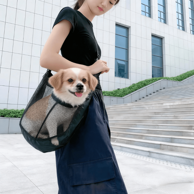 Hafif, Nefes Alabilen File Köp - Travel Accessories For Dogs incelemesi ve fiyatı