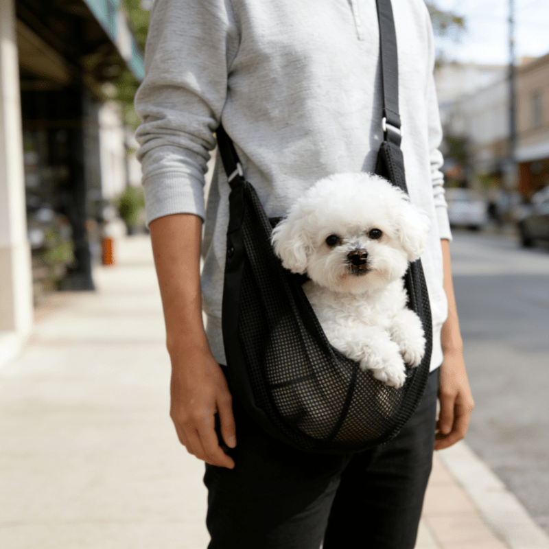 Hafif, Nefes Alabilen File Köp - Travel Accessories For Dogs incelemesi ve fiyatı