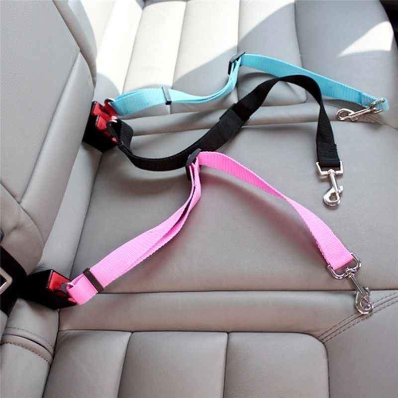 Kedi Araba Emniyet Kemeri Köpe - Travel Accessories For Dogs incelemesi ve fiyatı