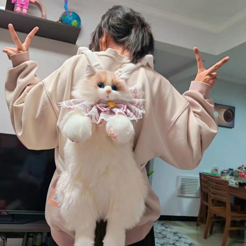2026 Yeni Stokta Ragdoll Kedi  - Travel Accessories Gift Ideas incelemesi ve fiyatı