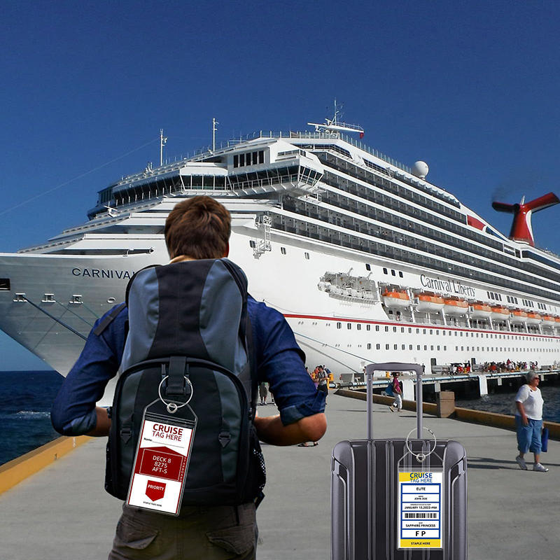 5 adet/takım Cruise Bagaj Etik - Travel Accessories On Plane incelemesi ve fiyatı
